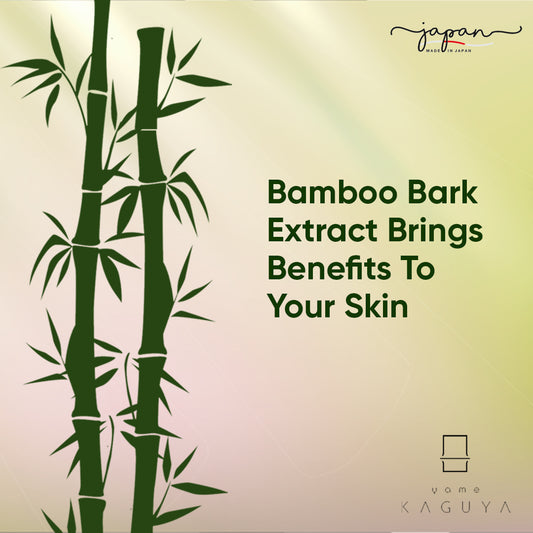 BAMBOO BARK EXTRACT BRINGS BENEFITS TO YOUR SKIN